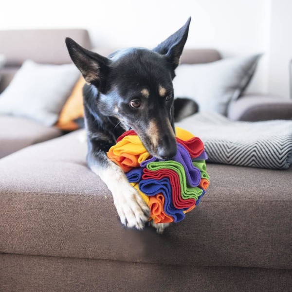 Snusmatta för hundar, interaktiv hundleksaksboll, hund