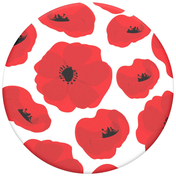 PopTop Scandi Poppies