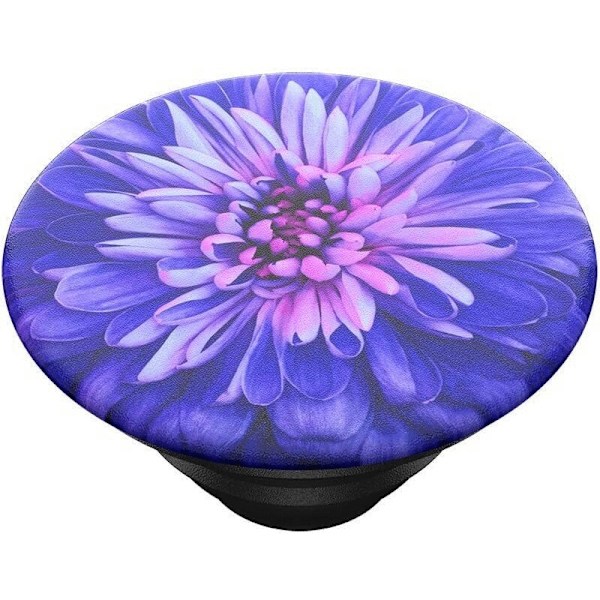 PopTop Be A Dahlia