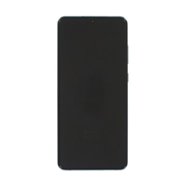 Samsung Galaxy S20 Ultra Skärm med LCD Display Original - Grå