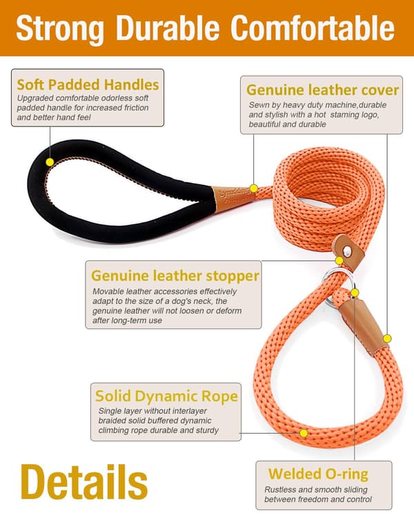 6FT Hundkoppel Starkt Repkoppel ORANGE orange
