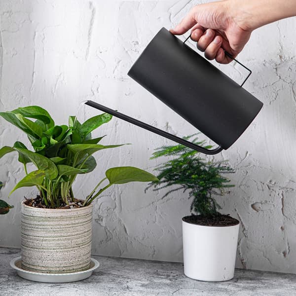 Vandkande 50oz/1.5L Vandkande i rustfrit stål til udendørs og indendørs stueplanter (mat sort)