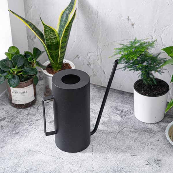 Vandkande 50oz/1.5L Vandkande i rustfrit stål til udendørs og indendørs stueplanter (mat sort)