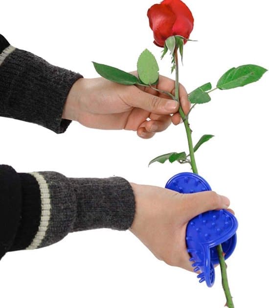 4-delt rosetornfjerner sæt Havehåndværktøj Tornfjernelsesværktøj Blad- og tornfjernere Specialværktøj til havearbejde og blomsterbinding