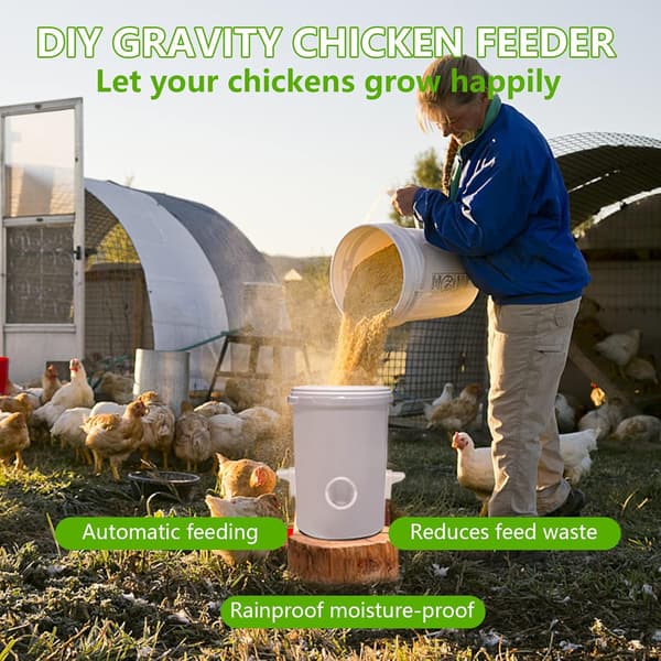 4 Porte DIY Kyllingefoder Kit, Automatisk Fjerkræfoder Regntæt Fjerkræ Gravity Feed Kits 4Feederx1Eliminator
