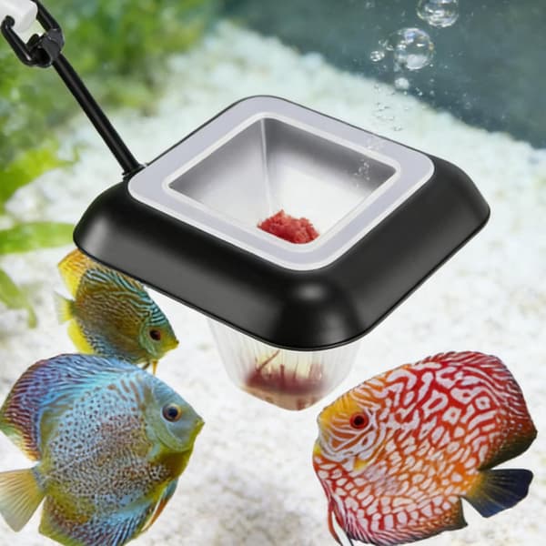 3-i-1 Akvarium Flydende Ring, Fiskefoderdispenser, Akvatisk Tilbehør til Guppyer og Cichlider.