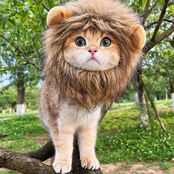Lion Mane Wig for Cat Costume, Adjustable, Washable, Comfortable, Nice Cat Clothes M