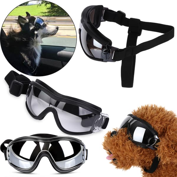 Hundebriller Solbriller Beskyttelsesbriller hvid