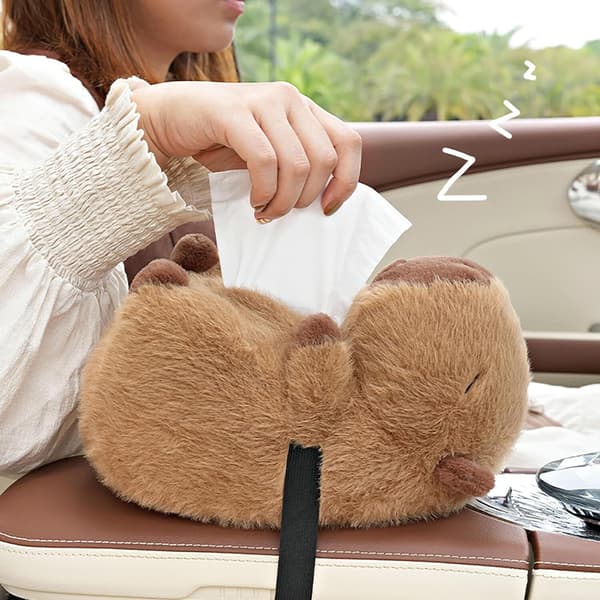 Plysj Capybara Bilvevsboks