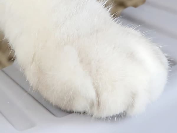 Large Litter Box - Open Model with High Rim