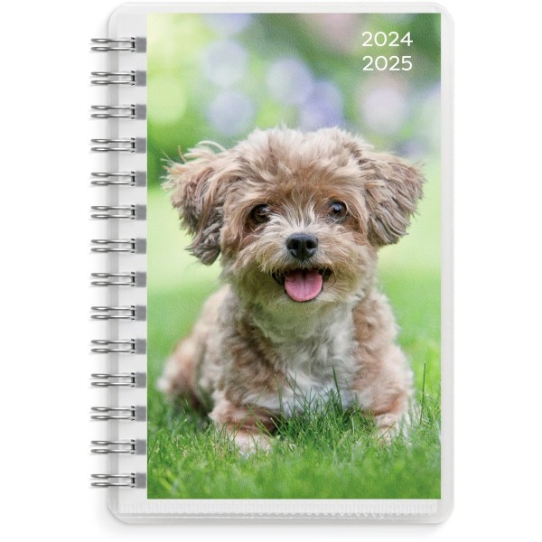 Kalender 24/25 Compact Pets