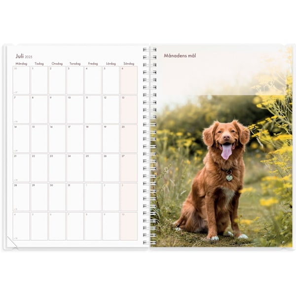 Kalender 2025 Hundkalendern