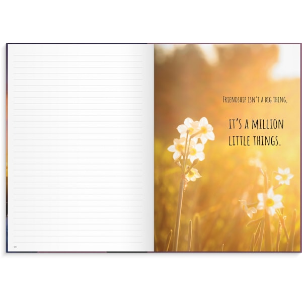 Notebook Friendship