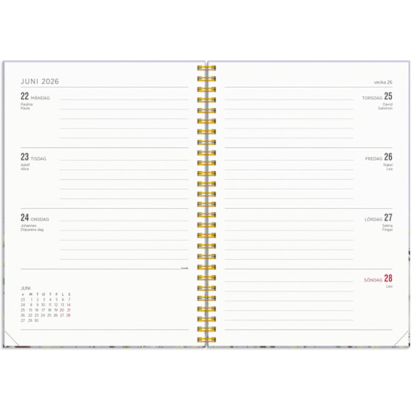 Kalender 25/26 Senator A5 Story Äng