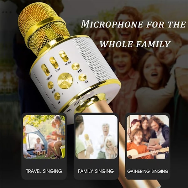 Bärbar trådlös karaokemikrofon - USB-laddning Gold