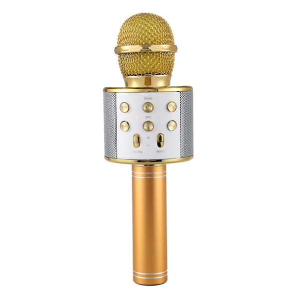 Bärbar trådlös karaokemikrofon - USB-laddning Gold
