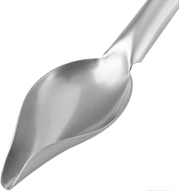 Drizzlingsked, Rostfri Såssked (L)