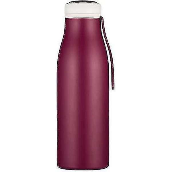 17oz 500ml Ecoffee Cup Återanvändbar Hög Vattenflaska i Rostfritt Stål