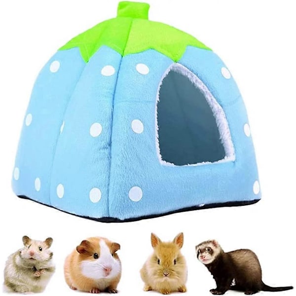 Chinchilla, Igelkott Liten Djurbädd, Litet Husdjursbo