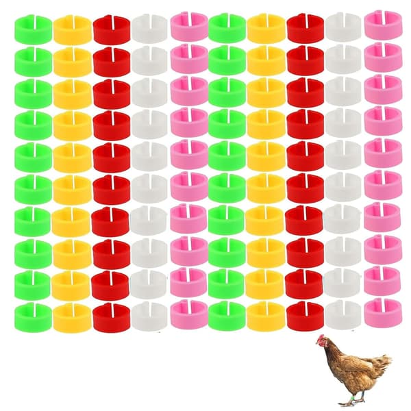 100-pack Kycklingidentifieringsbenringar, Kycklingmärken för ben