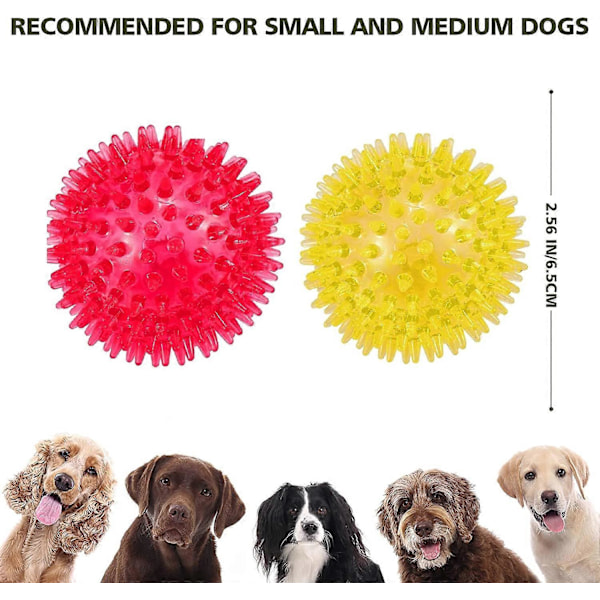 Set med 3 pipande hundbollar 6,5 cm