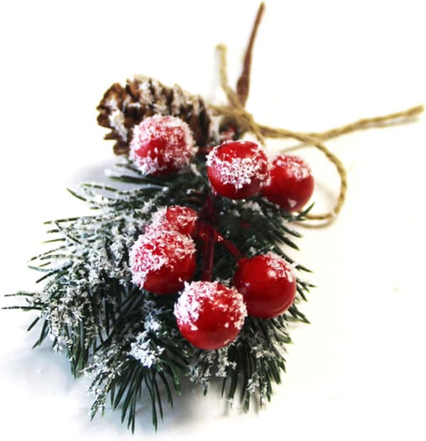Røde bærgrene fyrregrene julepynt