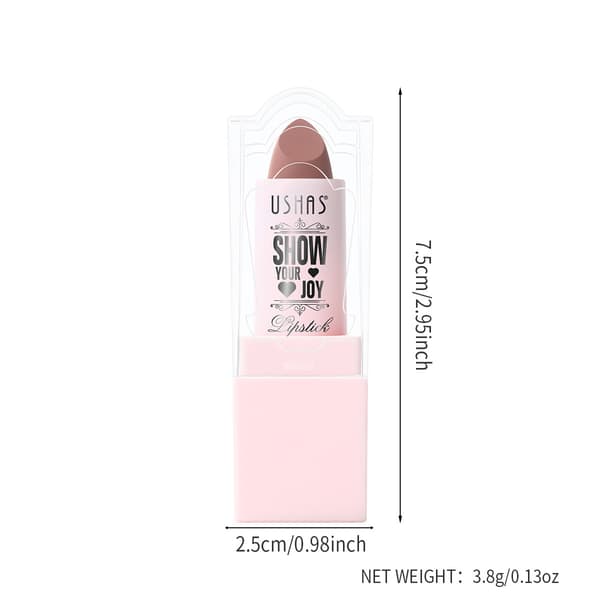 2026 Ny Matt Leppestift LP2287A+B #09