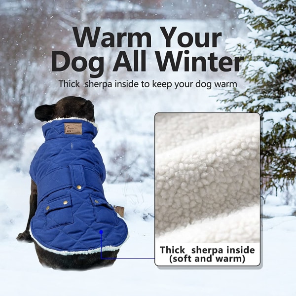 Hundjacka för små medelstora hundar Vinter