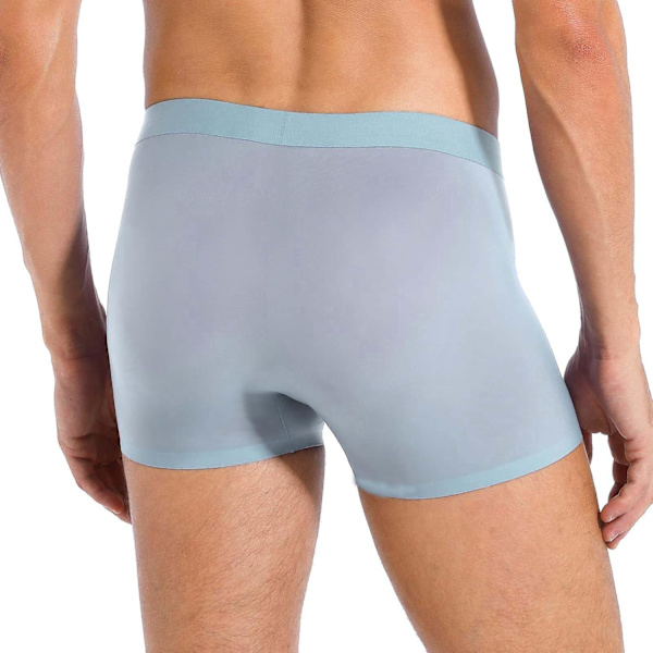 2025 Senaste Modell Ice Silk Herrkalsonger Genomskinliga Underkläder Sexiga Underkläder för Män Cyan Medium