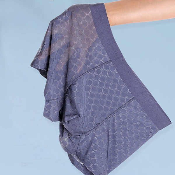 2025 Senaste Modellen Herr Ice Silk Mesh Boxer Kalsonger Andningsbara Coola Underkläder Låg Midja Stretch Boxers Svart Stor