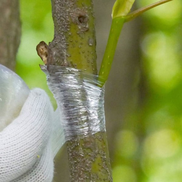 Plantskola Ympningstejp Sträckbar Biologiskt Nedbrytbar 3cm x 100M Vit