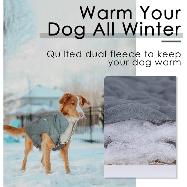 Dogs Winter Coats - Mysig Vattentät