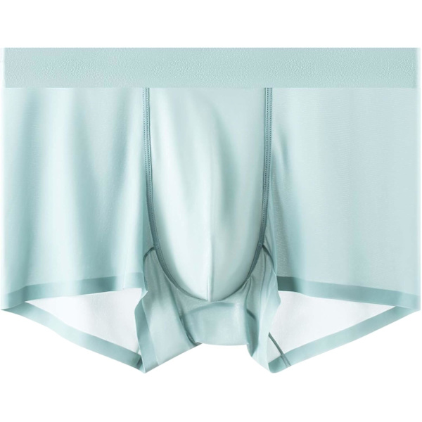 2025 Senaste Modell Ice Silk Herrkalsonger Genomskinliga Underkläder Sexiga Underkläder för Män Cyan Medium