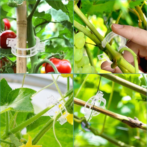 200 st Plantstödsklämmor, Tomatklämmor, Plastspaljéklämmor, Vindruvs- och Tomatrankor