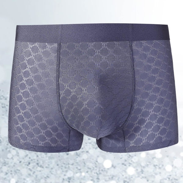 2025 Senaste Modellen Herr Ice Silk Mesh Boxer Kalsonger Andningsbara Coola Underkläder Låg Midja Stretch Boxers Svart Stor