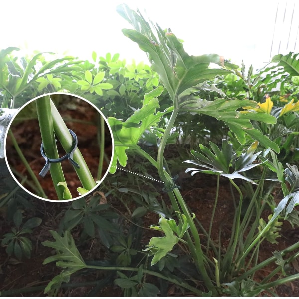 Plantklämmor Trädgårdsklämma - 100 st Vinefixeringsklämmor för växtstöd (stora)