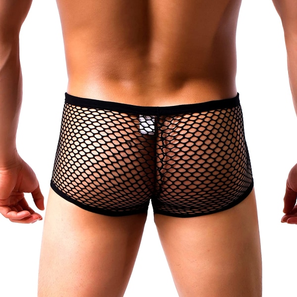 Mäns Underkläder Sexiga Genomskinliga Fiskgarn Boxer Briefs Mesh XL