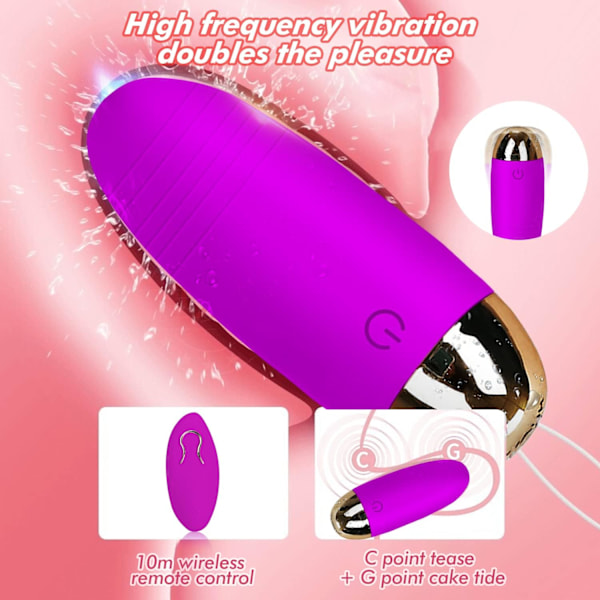 2025 Senaste Modell Damski fjärrkontroll vibrator för klitoris