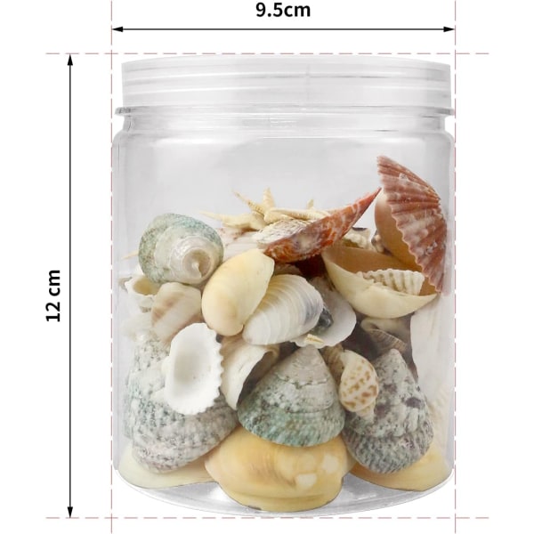 Blandade Havsskal - Strandskal och Sötvattenstjärna Sortiment för Hantverk och Dekoration (100+ St)