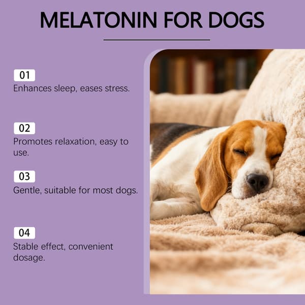 Hunde søvnpleiedråper med milde ingredienser for å holde hunden din komfortabel og stabil under søvn.