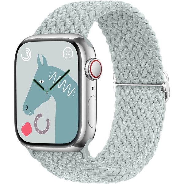 Flätat Elastiskt Justerbart Armband för Apple Watch Succulent&Silver buckle 42MM/44MM/45MM/49MM