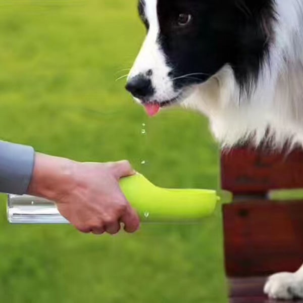 Dricksfontän för sällskapsdjur med kopp hund utomhus (grå)