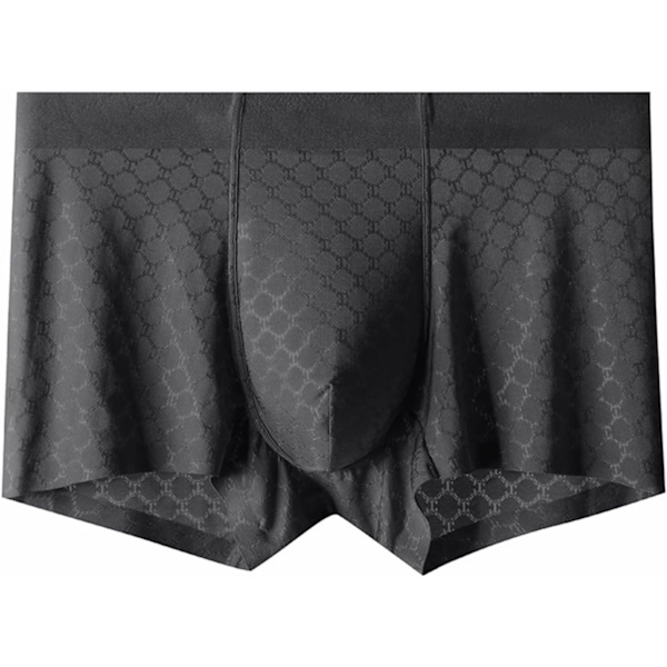2025 Senaste Modellen Herr Ice Silk Mesh Boxer Kalsonger Andningsbara Coola Underkläder Låg Midja Stretch Boxers Svart Stor