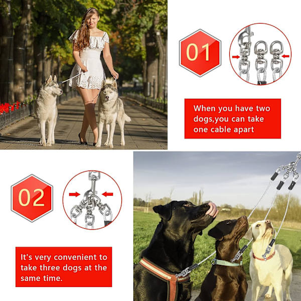 Dog cable sales