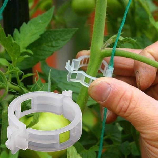 100 st Plantstöd Trädgårdsklipp Tomatklipp Stöd/Ansluter Växter/Snöre/Rankor