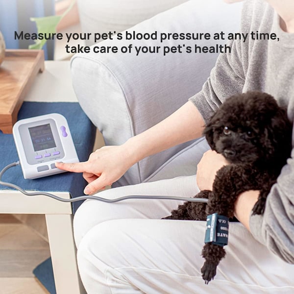 2025 Senaste Modell 08A-VET Digital Veterinär Blodtrycksmätare Hund/Katt/Husdjur Liten Manschettstorlek 2,3”-4,3” Liten