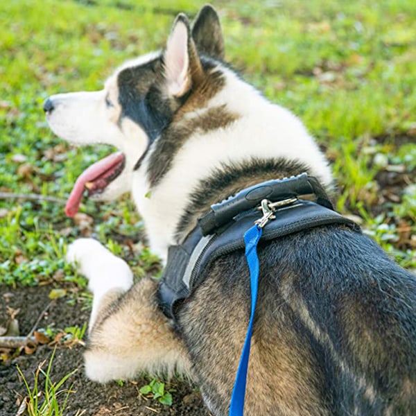 Hunde-/Valpe-Lydighet Tilbakekalling Trening Agility Leie Trening Leash - Perfekt for Trening, Lek, Camping