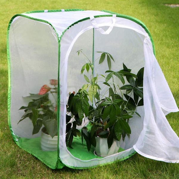 Hög stor fjärilshabitatbur hopfällbar terrarium pop-up-lnches, insekts- och fjärilsnät för uppfödning av insatser