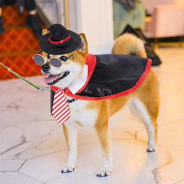 Lemmikkieläinten Halloween-asu Koiran viitta ja hattu