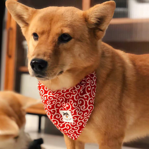 Shiba inu-halsduk med justerbar krage